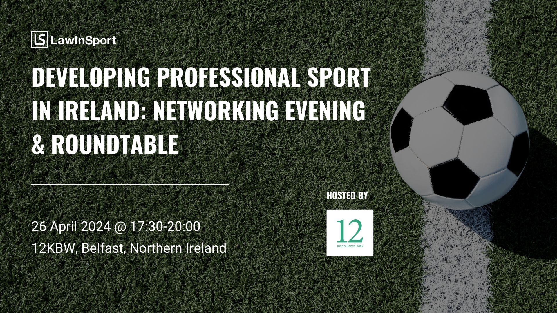 Developing Professional Sport in Ireland: Networking Evening & Roundtable