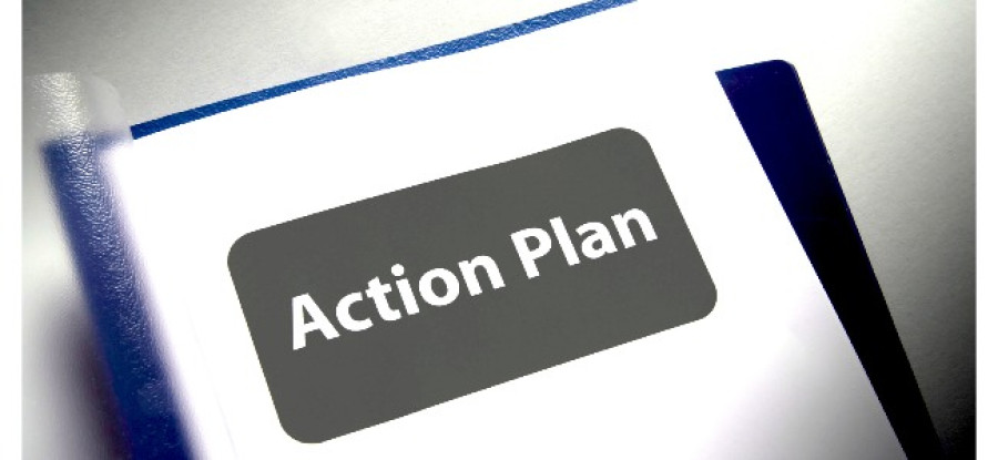 Book_Titled_Action_Plan