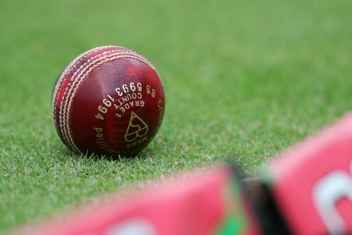 Cricket ball on grass