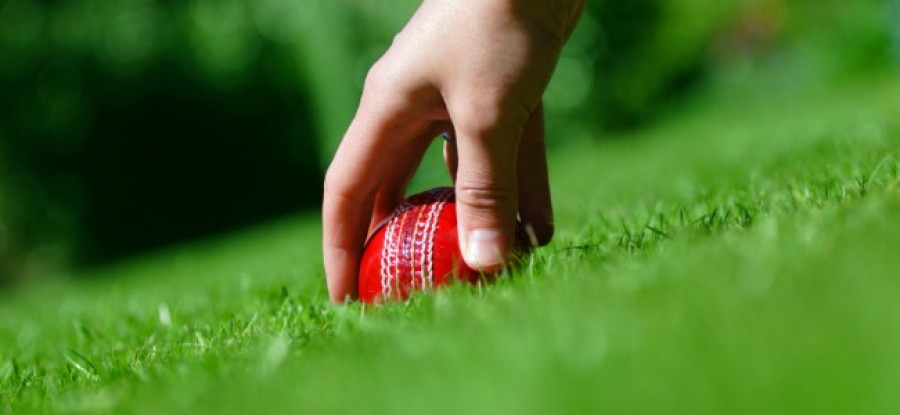 Cricket ball being picked up