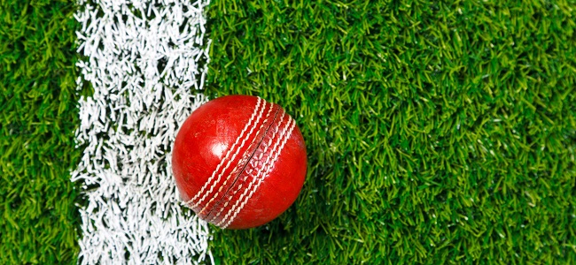 Cricket ball on field