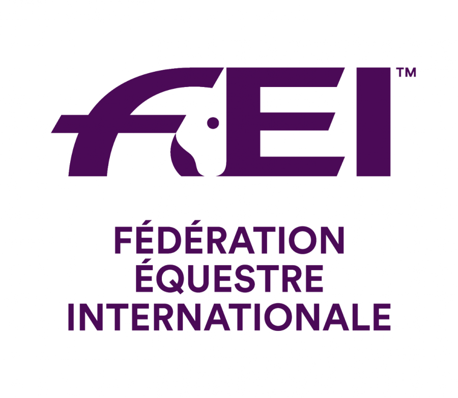 FEI Logo