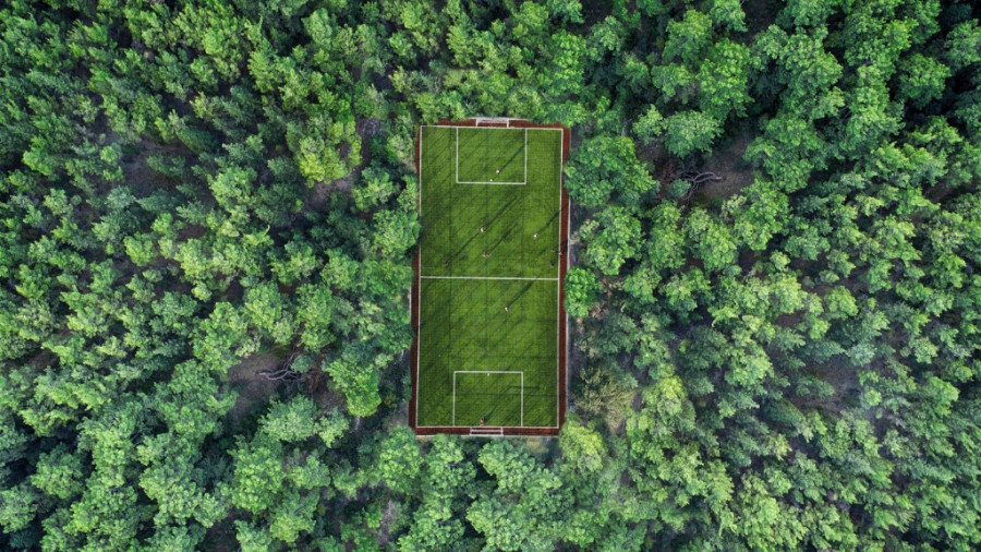 Football pitch surrounded by lush vegetation