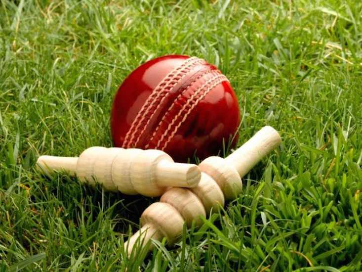 Cricket Ball