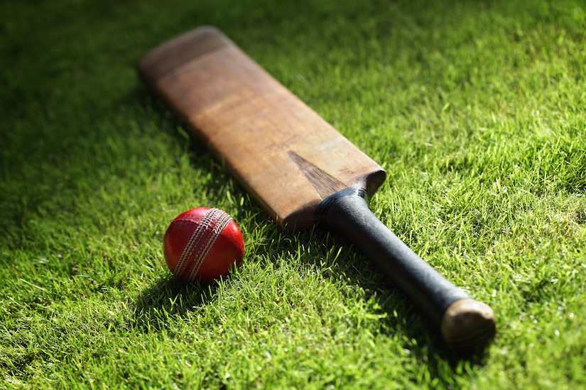 Cricket bat and ball