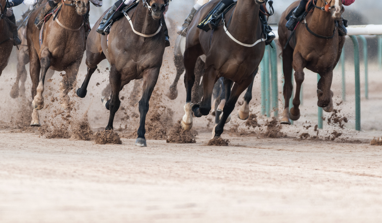 Horse racing on track