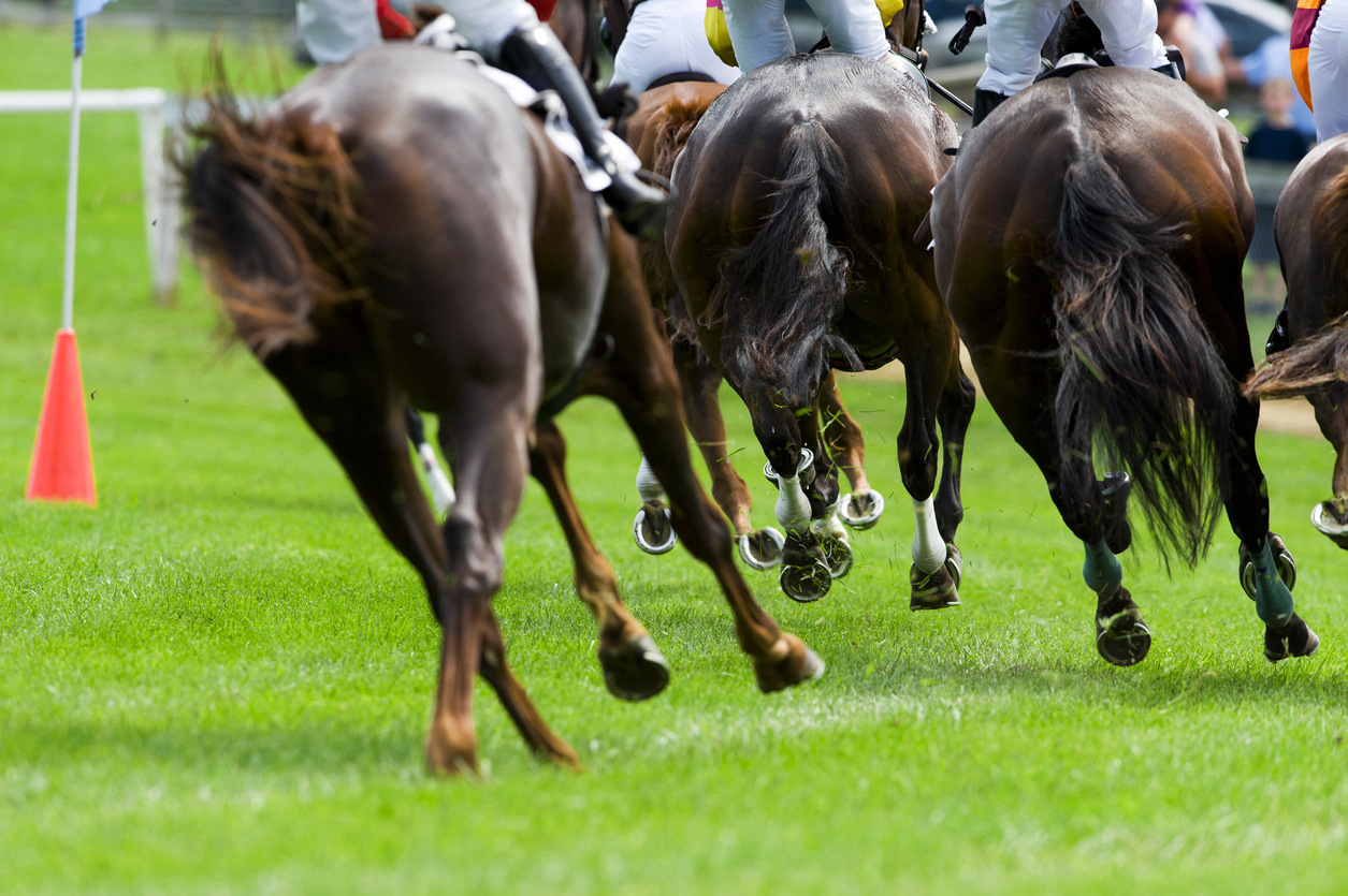 Horseracing