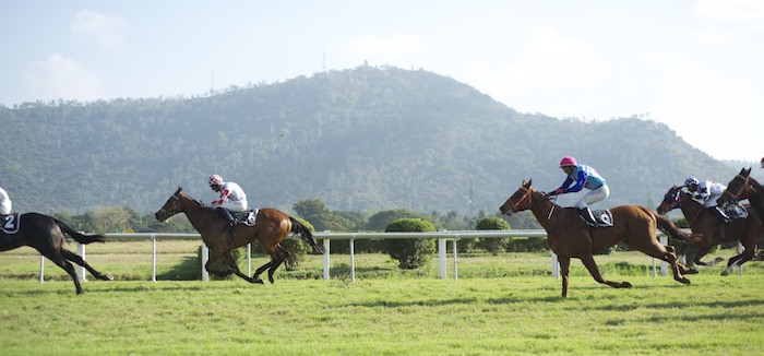 Indian_Horseracing