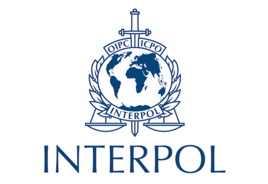 Interpol logo