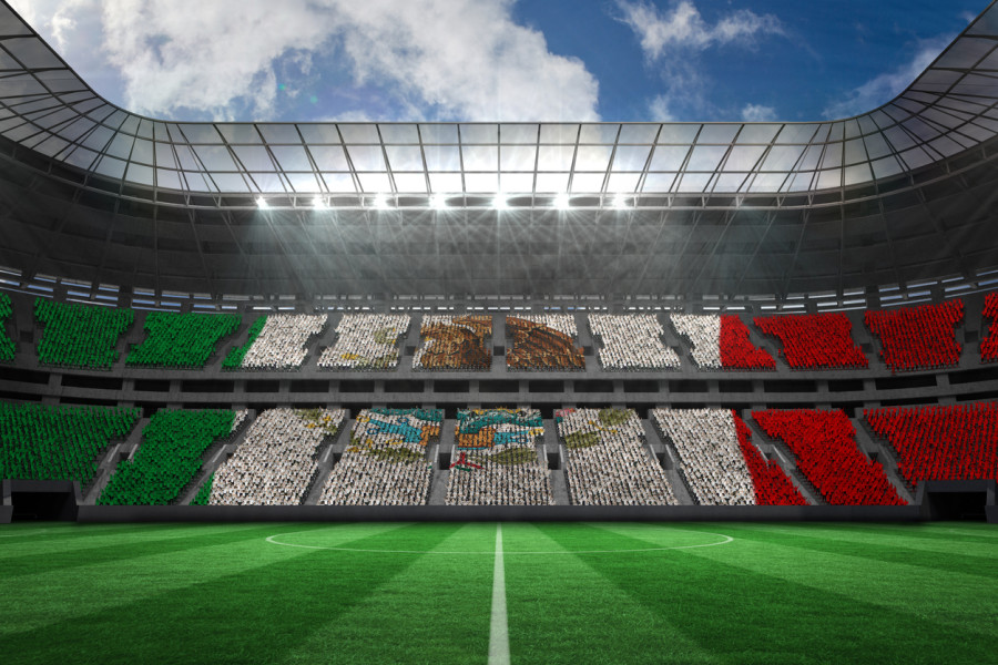 Mexican Flag in Stadium