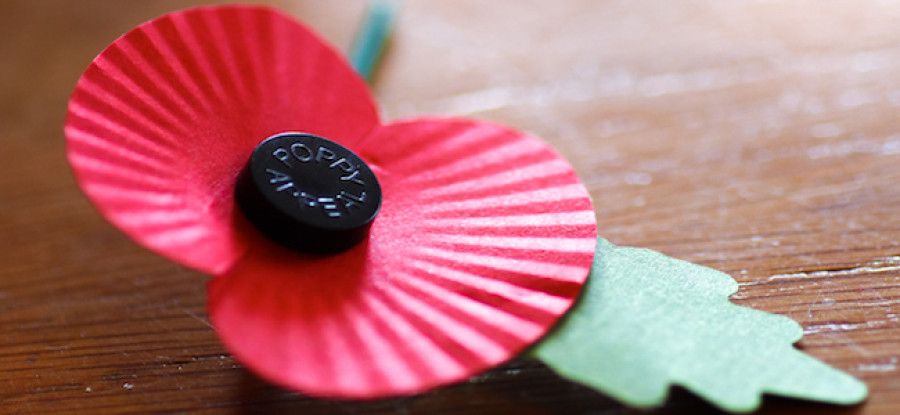 Poppy on table