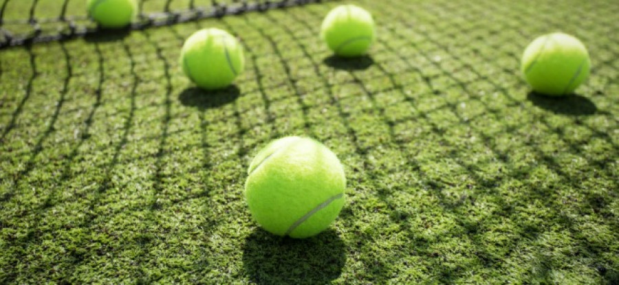 Tennis_Balls_on_Grass_by_Net