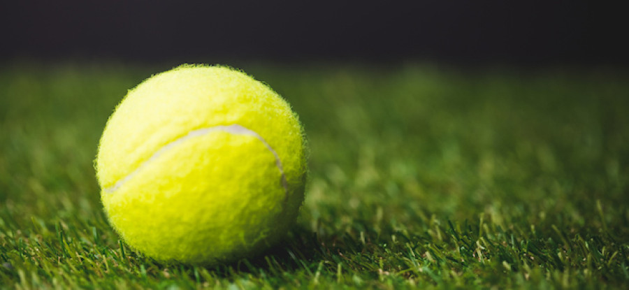 Close up of tennis ball on grass