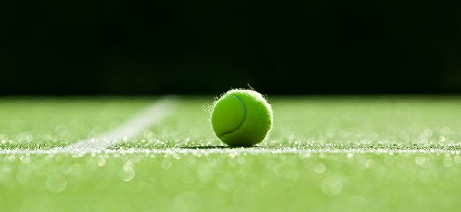 Tennis ball on grass court