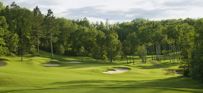 Tress on the golf course