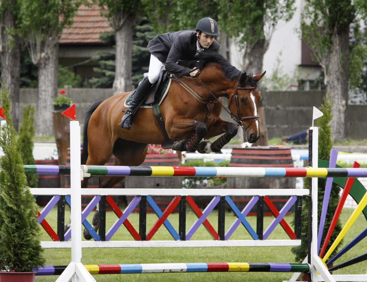 Show Jumping