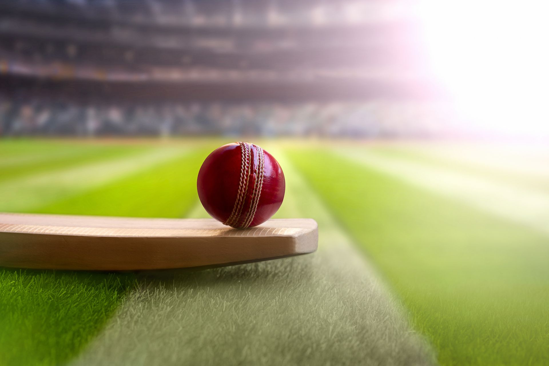 Cricket ball resting on a bat